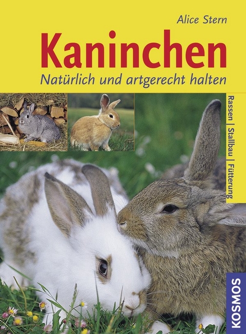 Kaninchen - Alice Stern