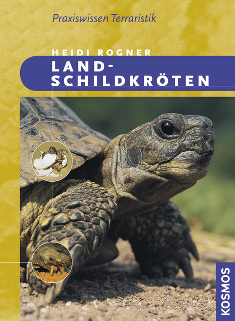 Landschildkröten - Heidi Rogner