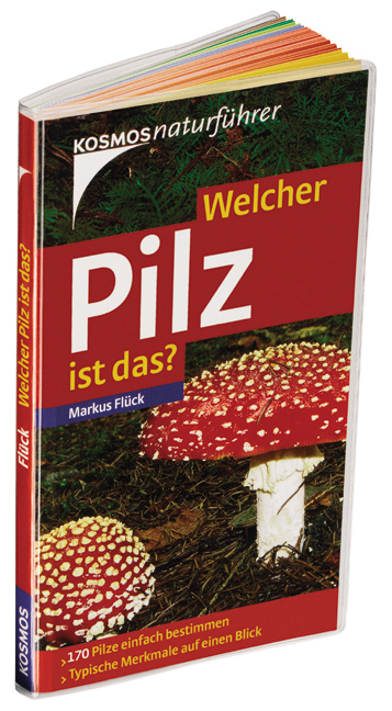 Welcher Pilz ist das? - Markus Flück