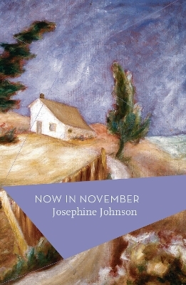Now In November - Josephine Johnson