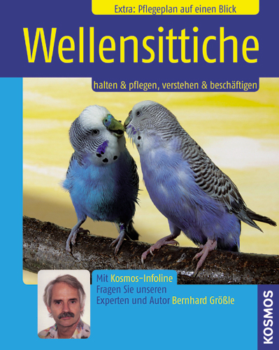 Wellensittiche - Bernhard Größle