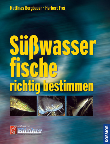 Süßwasserfische richtig bestimmen - Matthias Bergbauer, Herbert Frei