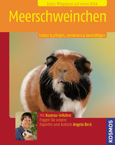 Meerschweinchen - Peter Beck, Angela Beck