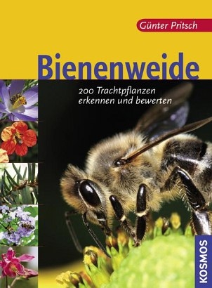 Bienenweide - Günter Pritsch