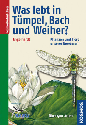 Was lebt in Tümpel, Bach und Weiher? - Wolfgang Engelhardt, Peter Martin, Jörg Pfadenhauer, Klaus Rehfeld