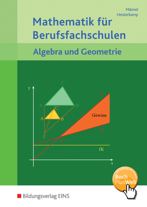 Mathematik für Berufsfachschulen - Rolf Männel, Markus Heisterkamp