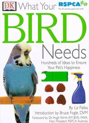 What Your Pet Needs: Bird