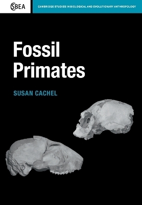 Fossil Primates - Susan Cachel