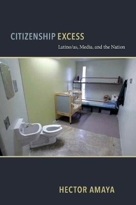 Citizenship Excess - Hector Amaya
