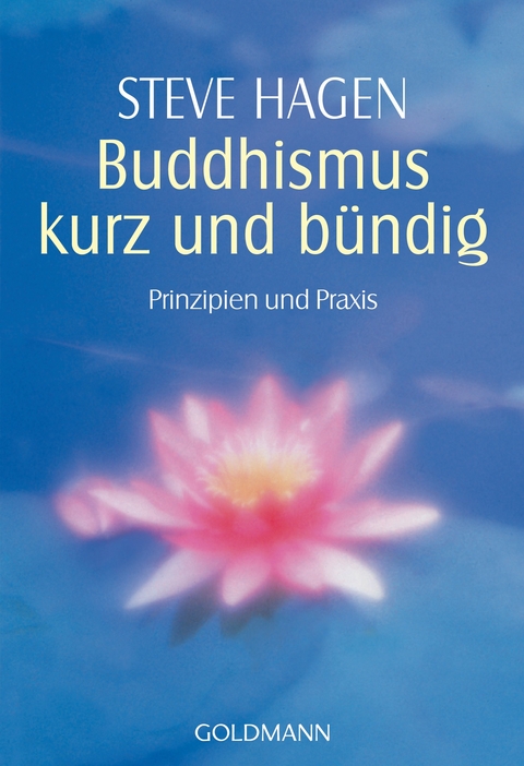 Buddhismus kurz und bündig - Steve Hagen