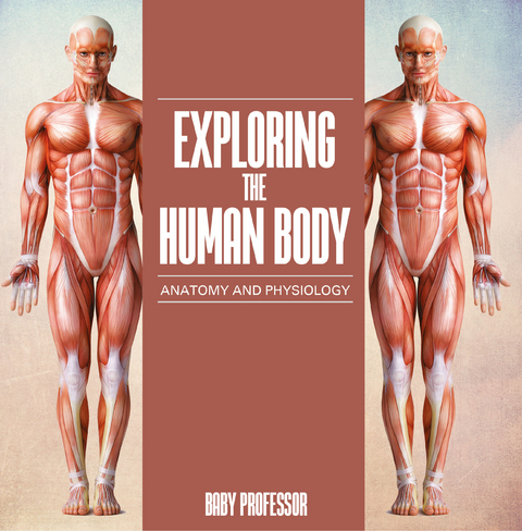 Exploring the Human Body | Anatomy and Physiology - Baby Professor