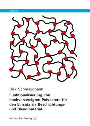 Funktionalisierung von hochverzweigten Polyestern für den Einsatz als Beschichtungs- und Blendmaterial - Dirk Schmaljohann