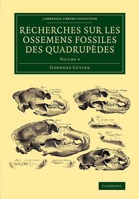 Recherches sur les ossemens fossiles des quadrupèdes - Georges Cuvier