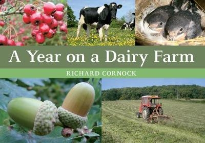 A Year on a Dairy Farm - Richard Cornock