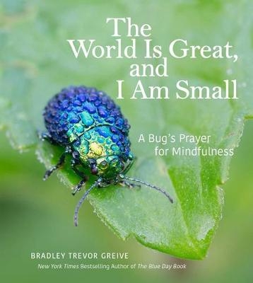 World Is Great, and I Am Small -  Bradley Trevor Greive