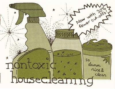 Nontoxic Housecleaning - Raleigh Briggs