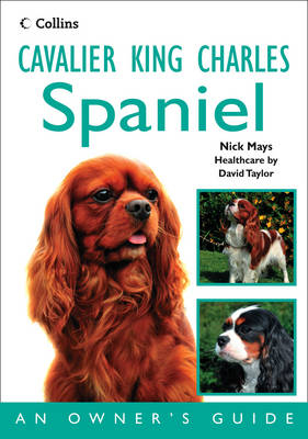 Cavalier King Charles Spaniel -  Nick Mays
