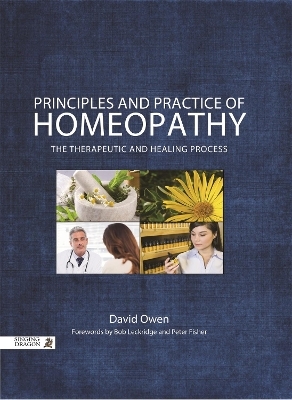 Principles and Practice of Homeopathy - David Owen