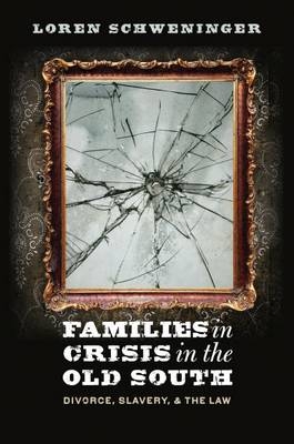 Families in Crisis in the Old South - Loren Schweninger