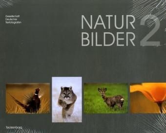 Natur Bilder 2 - Florian Möllers, Markus Botzek