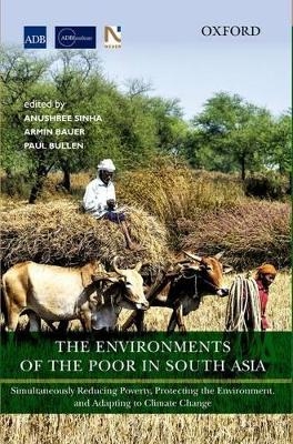 The Environments of the Poor in South Asia - 