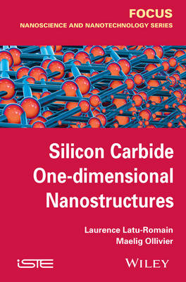 Silicon Carbide One-dimensional Nanostructures - Laurence Latu-Romain, Maelig Ollivier