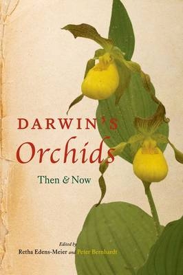 Darwin's Orchids - 