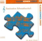 Faszination Schostakowitsch, 1 Audio-CD - Stefan Schaub