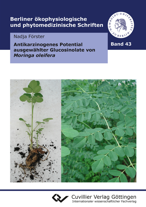 Antikarzinogenes Potential ausgewählter Glucosinolate von Moringa oleifera - Nadja Förster