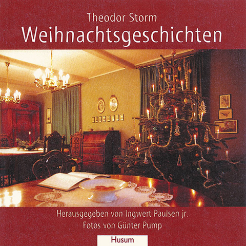 Weihnachtsgeschichten - Theodor Storm