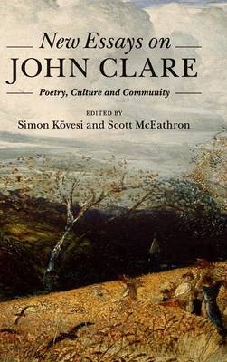 New Essays on John Clare - 