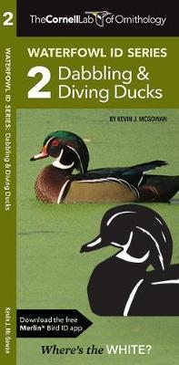The Cornell Lab of Ornithology Waterfowl ID 2 Dabbling & Diving Ducks - Kevin J. McGowan, Waterford Press