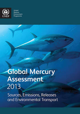 Global mercury assessment 2013 -  United Nations Environment Programme