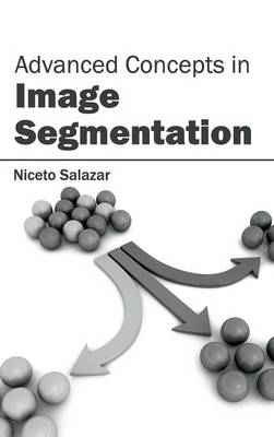 Advanced Concepts in Image Segmentation - 