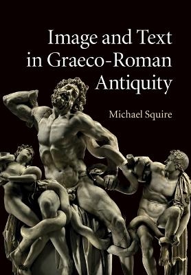 Image and Text in Graeco-Roman Antiquity - Michael Squire