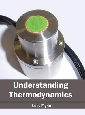 Understanding Thermodynamics - 