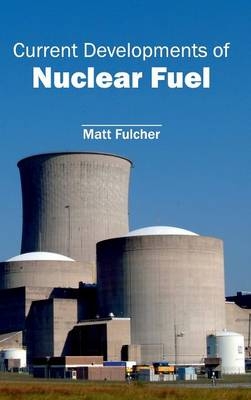 Current Developments of Nuclear Fuel - 