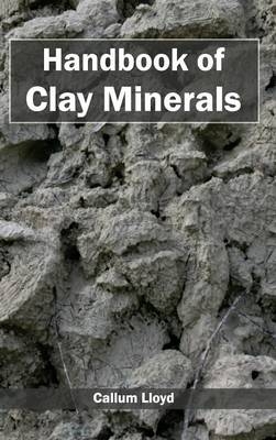 Handbook of Clay Minerals - 