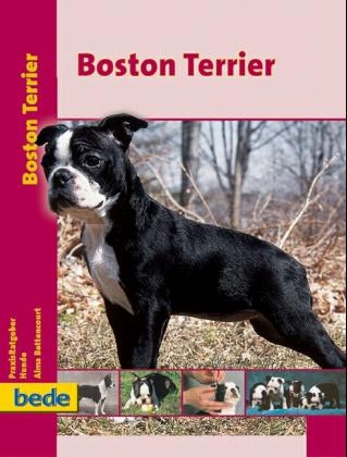 Praxisratgeber Boston Terrier - Alma Bettenrourt