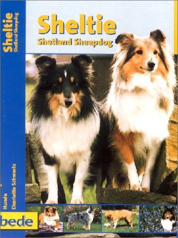 Praxisratgeber Sheltie - Shetland Sheepdog - Charlotte Schwartz