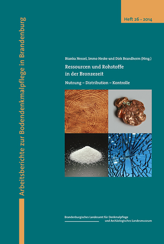 Ressourcen und Rohstoffe in der Bronzezeit - Bianka Nessel; Immo Heske; Dirk Brandherm