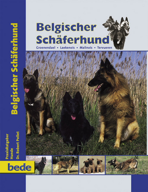 Belgischer Schäferhund - Dr. Robert Pollet