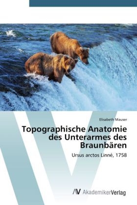 Topographische Anatomie des Unterarmes des BraunbÃ¤ren - Elisabeth Mauser