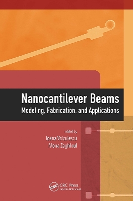 Nanocantilever Beams - 