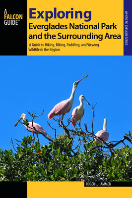 Exploring Everglades National Park and the Surrounding Area - Roger L. Hammer