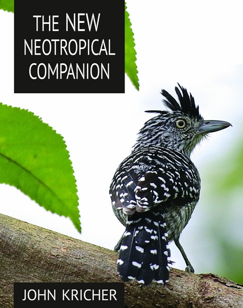 New Neotropical Companion -  John C. Kricher
