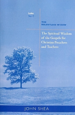 The Spiritual Wisdom Of Gospels For Christian Preachers And Teachers - John Shea