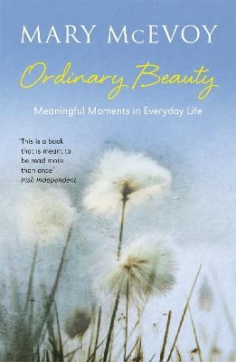 Ordinary Beauty - Mary Mcevoy