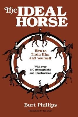 The Ideal Horse - Burt Phillips