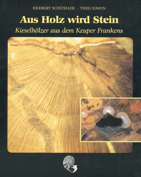 Aus Holz wird Stein - Herbert Schüssler